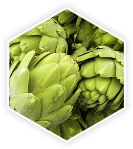Artichoke