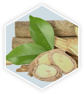 Tongkat Ali root