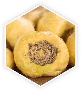 Maca root